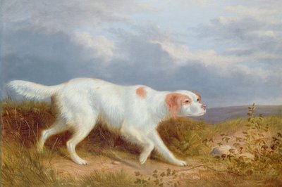 Ein Setter auf dem Moor von Philip Reinagle